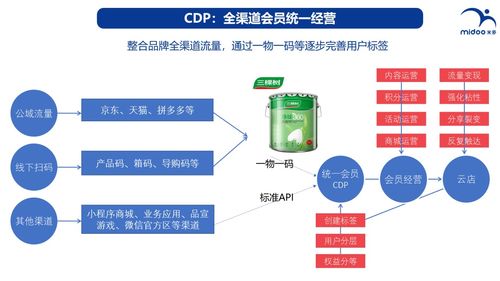 营销数字化案例63 中国涂料品牌顶梁柱三棵树的数字化转型与数字内容制作服务